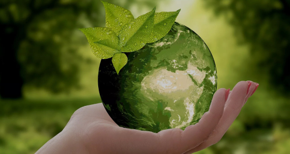 Certificado de Medio Ambiente